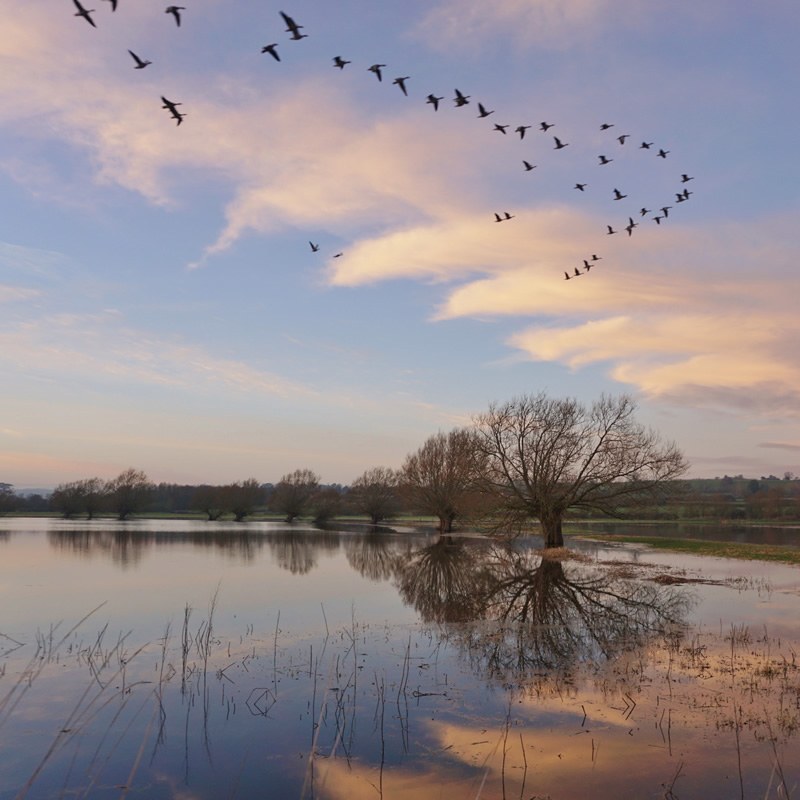 Photo of Coombe Hill by Susan Cook